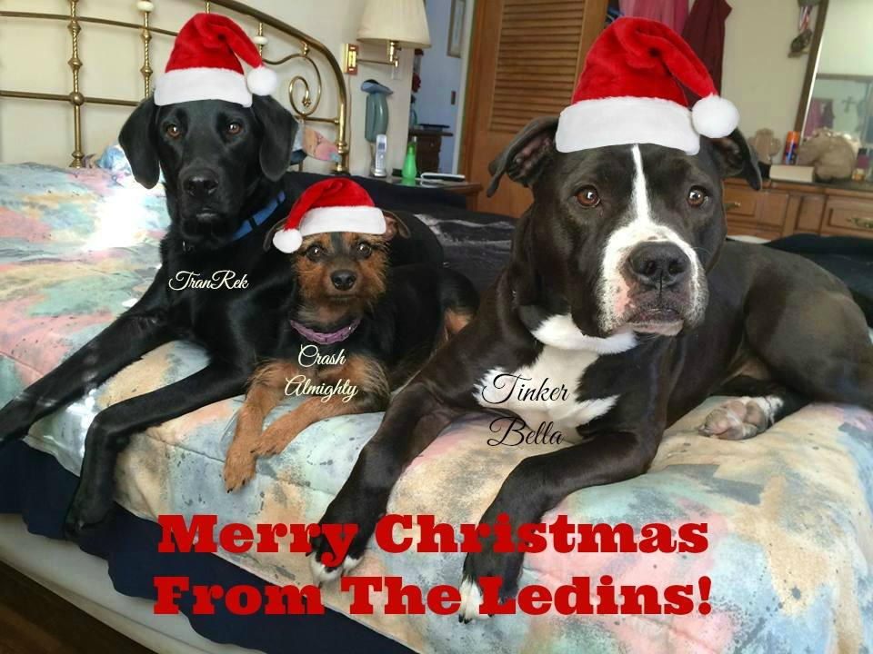 Merry Christmas from the Ledins!